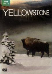 Yellowstone