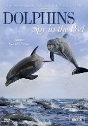 Dolphins: Spy In The Pod