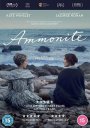 Ammonite